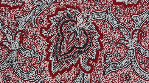 Investigations into Color