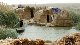 Mudhif houses of the Ma'dan, southern wetlands, Iraq. Image courtesy of Esme Allen. 