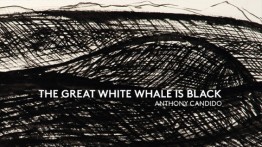 Tony Candido: The Great White Whale is Black