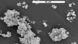 Scanning Electron Microscope image of titanium dioxide nanoparticles. Image courtesy of Daniel Lepek