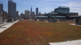 The green roof atop the Jacob Javits Center