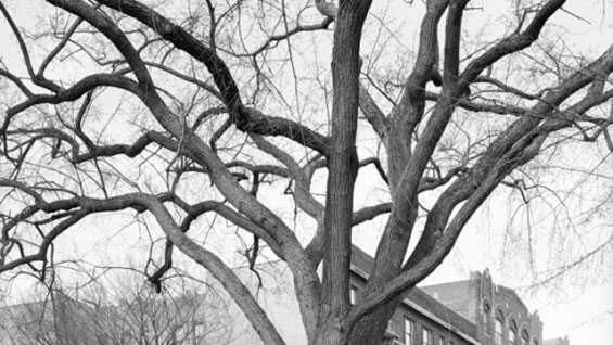 Detail of