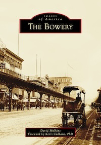 Cover of The Bowery book