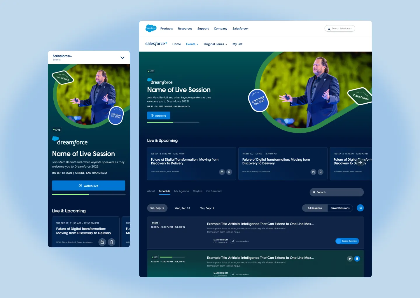screenshot of dreamforce program via desktop