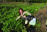 Danielle, Amirim resident, foraging for food, Golan