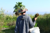 Ofek (a raw vegan born and raised in Amirim), pictured foraging for food, Galilee