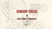 Still from video https://www.artslettersandnumbers.com/programs/sunship-thesis-summer-2022