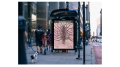 Felipe Baez - Unruly Forms Artwork on bus shelter