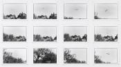 Detail of Zoe Leonard's Al río / To the River showing a 3 by 4 grid of black and white photographs.