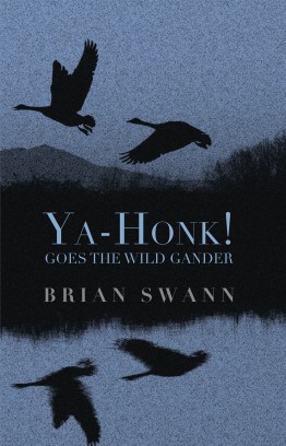 Ya-Honk! Goes The Wild Gander - Swann