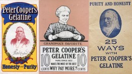 Peter Cooper gelatine