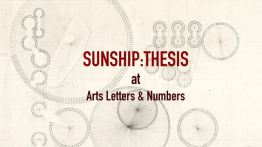 Still from video https://www.artslettersandnumbers.com/programs/sunship-thesis-summer-2022