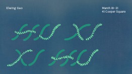 Senior Presentation by Elwing Gao