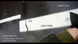 Senior Presentation by Camille Levy