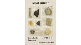 Senior Presentation by Emma Switko