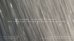 Senior Presentation by Eva Chenyao He