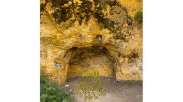 Senior Presentation by Ginger Fan