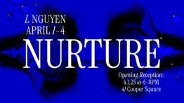 Senior Presentation by L Nguyen