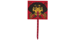 Senior Presentation by Liv Forcey-Rodriguez