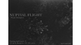 Senior Presentation by Wyatt Thompson