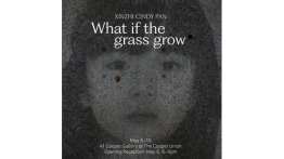 Senior Presentation by Xinzhi Pan