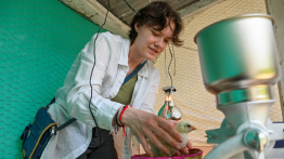 Image of Elise gathering weight of chicken