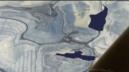 Fia Backström, "Toxicology Report"