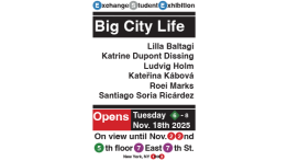 Exchange Student Exhibition