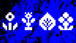 Visualizing the City