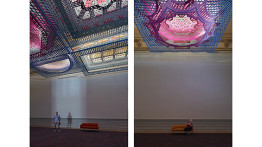 Brennan Buck, Parallax