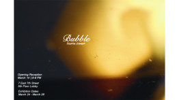 Senior Presentation by Sophia Joseph