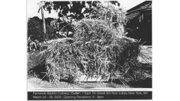 Senior Presentation by Fernando Badillo Colberg