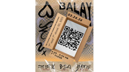 Senior Presentation by Elisha Felix