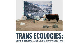 Trans Ecologies
