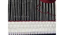 Senior Presentation by Kiana Farizandi