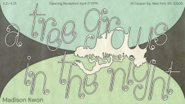 Senior Presentation by Madison Kwon