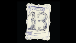 Senior Presentation by Sonae White