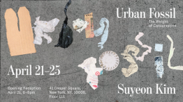 Senior Presentation by Suyeon Kim