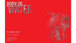 Senior Presentation by Sophie Saari