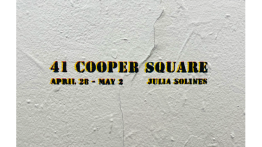 Senior Presentation by Julia Solines