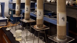 Soil columns used in Hailey Kim's bioremediation research. Photo courtesy Hailey Kim