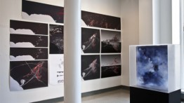 End of Year Exhibition 2011