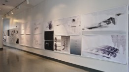 End of Year Exhibition 2011