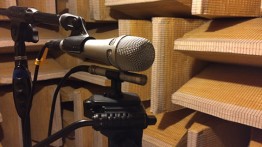 Inside Cooper's anechoic chamber