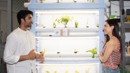 Dhvanil Shah EE'20 and Professor Shlayan discuss hydroponics
