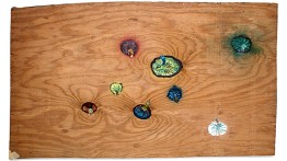 Bill Lynch. Untitled (Seven Mushrooms), n.d. Oil on wood.


