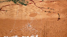 Bill Lynch. untitled (Caught in the Spider Web, detail), n.d. Oil on wood.

