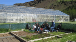 Agricultural University of Iceland, Hveragerdi,  Iceland, working in heated garden