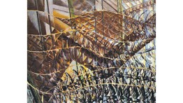 'Swifts: Paths of Movement + Dynamic Sequences' (1913) Giacomo Balla