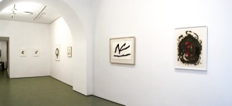 Galleria il Gabbiano, Museoplan